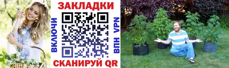 А ПВП Почеп