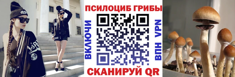 Галлюциногенные грибы ЛСД  Почеп 